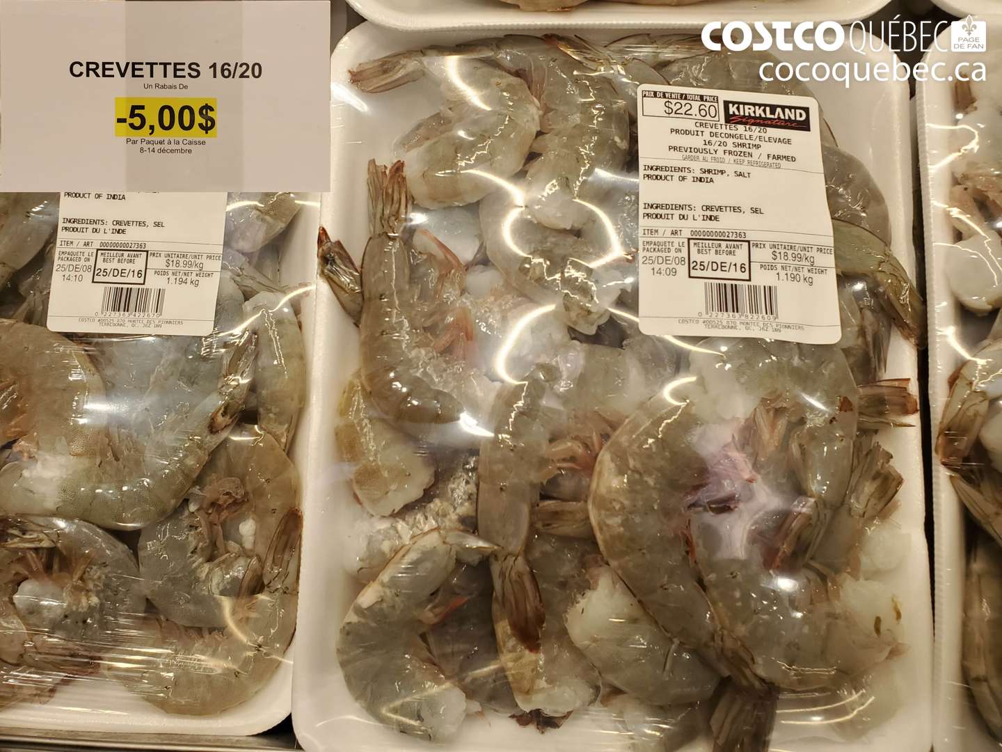 00000000 CREVETTES 16/20