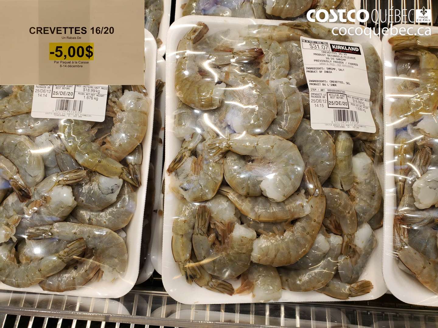 000000 CREVETTES 16/20