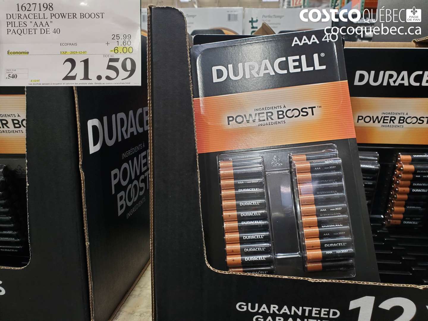 1627198 DURACELL POWER BOOST PILES 
