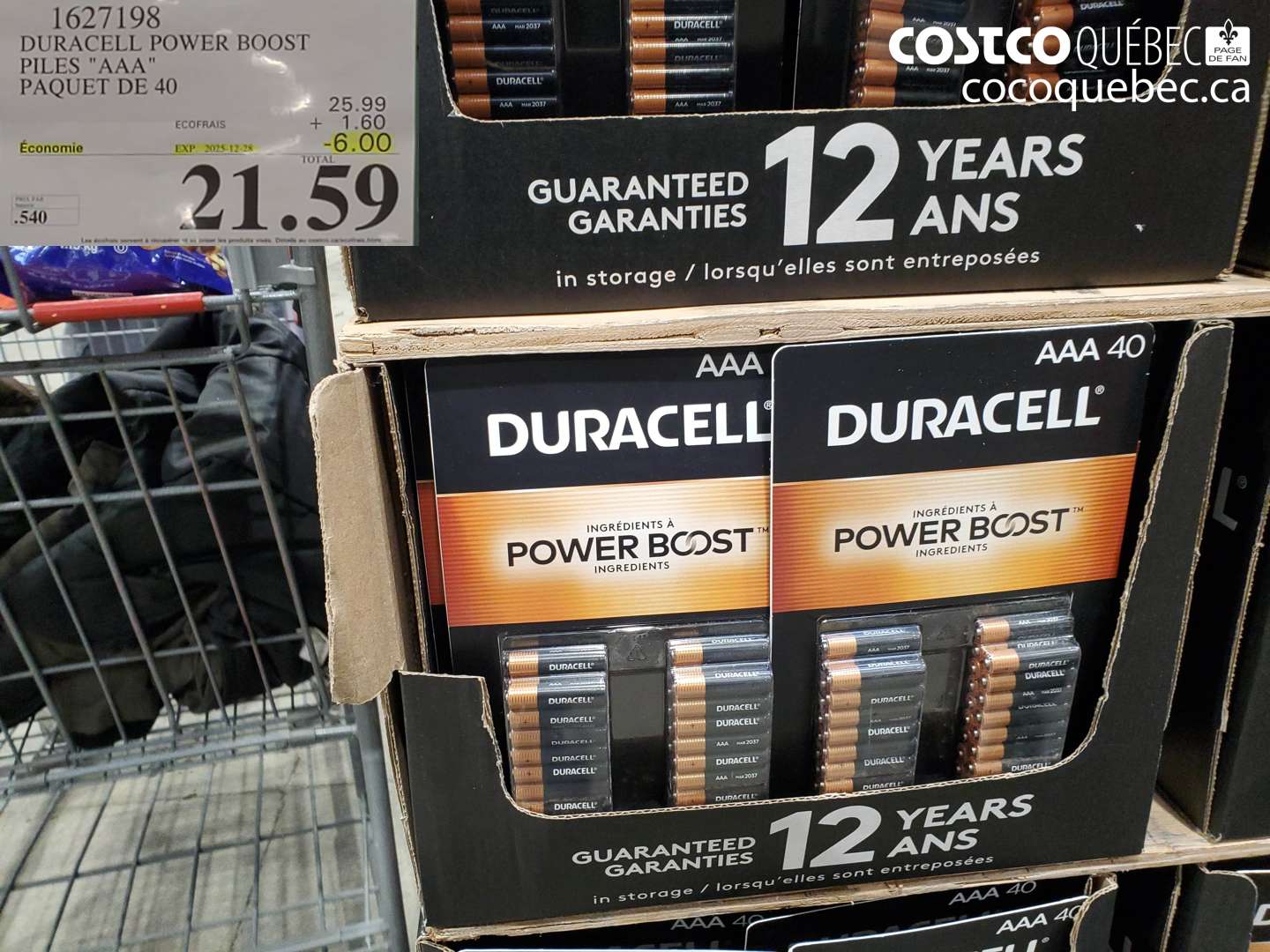 1627198 DURACELL POWER BOOST PILES 