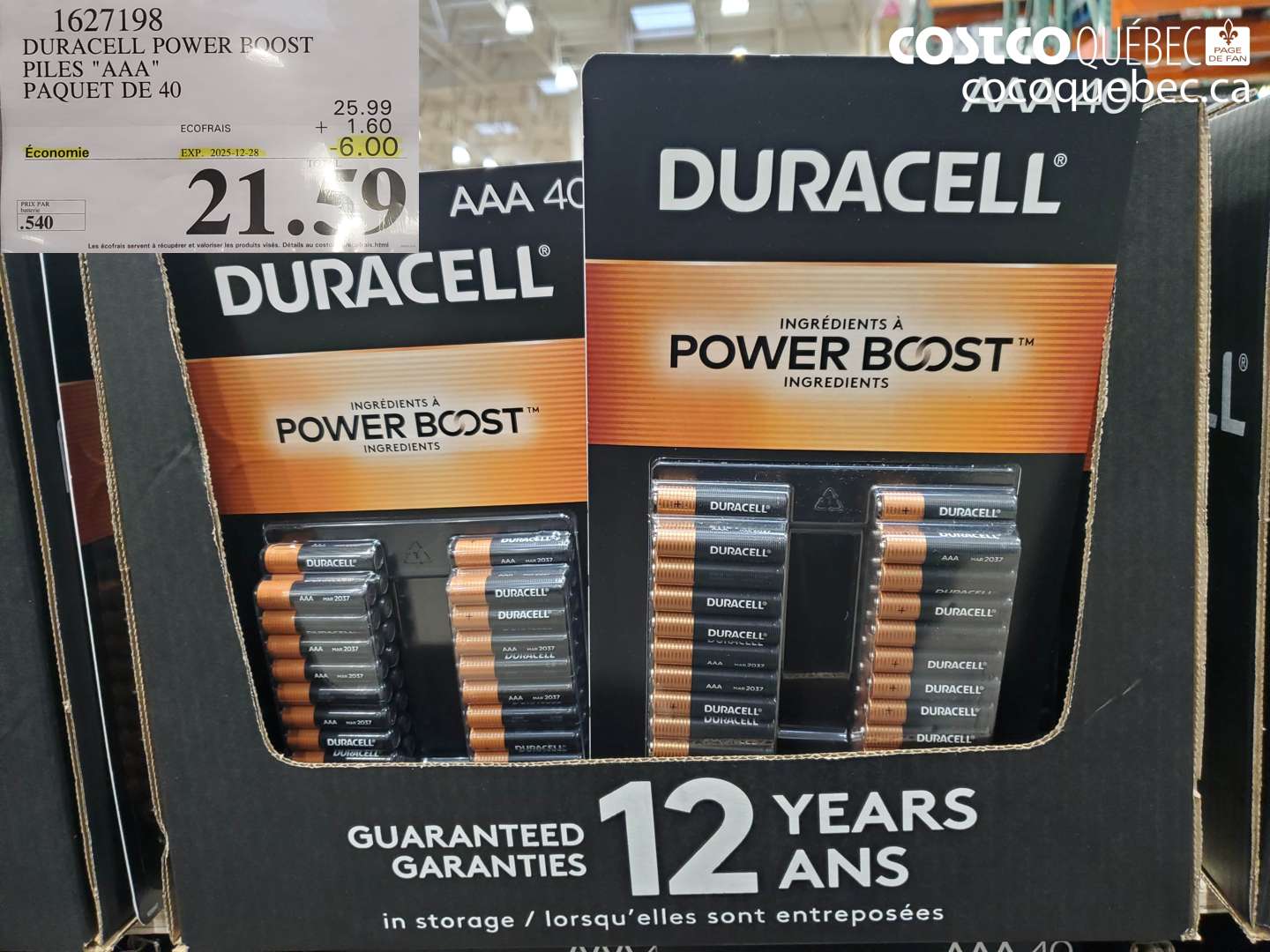 1627198 DURACELL POWER BOOST PILES 