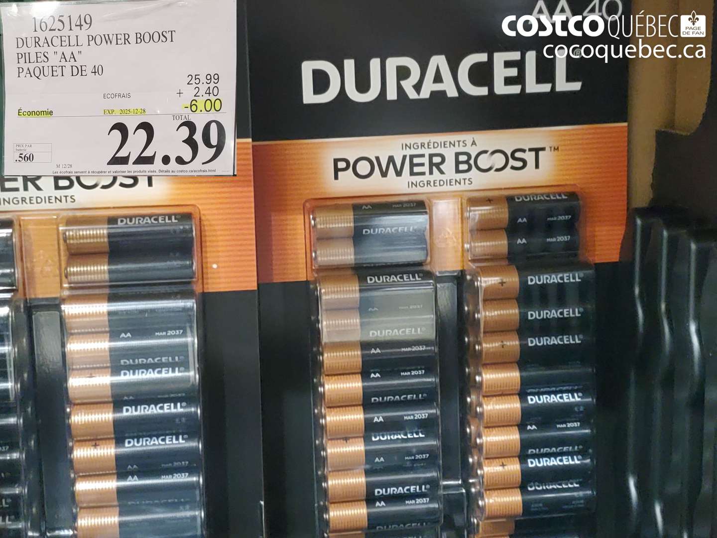 1625149 DURACELL POWER BOOST PILES 