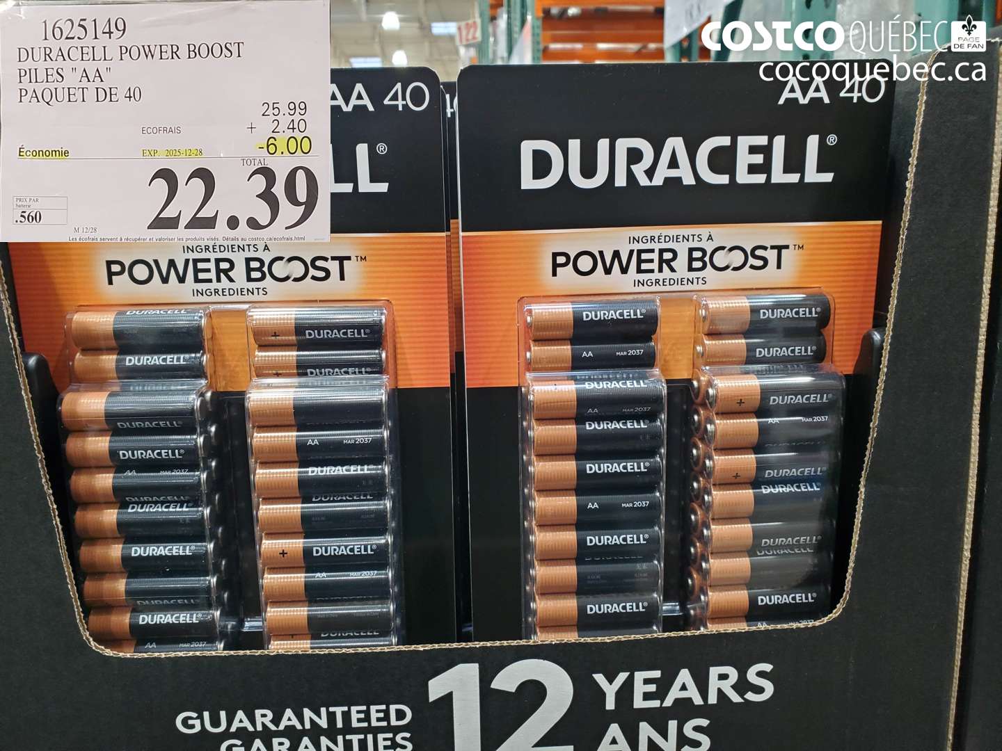 1625149 DURACELL POWER BOOST PILES 