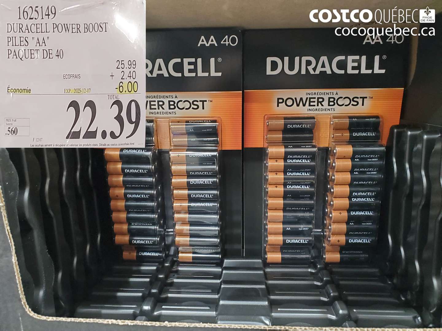 1625149 DURACELL POWER BOOST PILES 