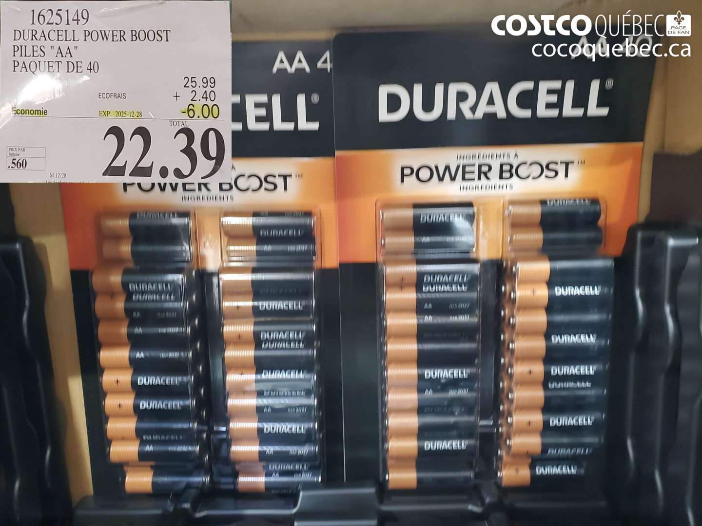 1625149 DURACELL POWER BOOST PILES 