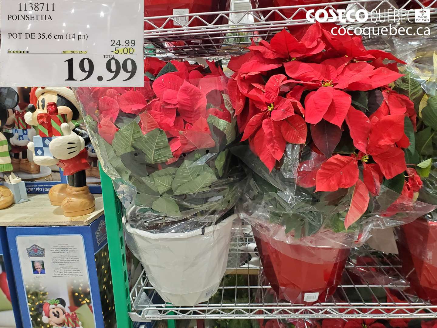 1138711 POINSETTIA ($5.00 INSTANT SAVINGS EXPIRES ON 2025-12-15) $19.99