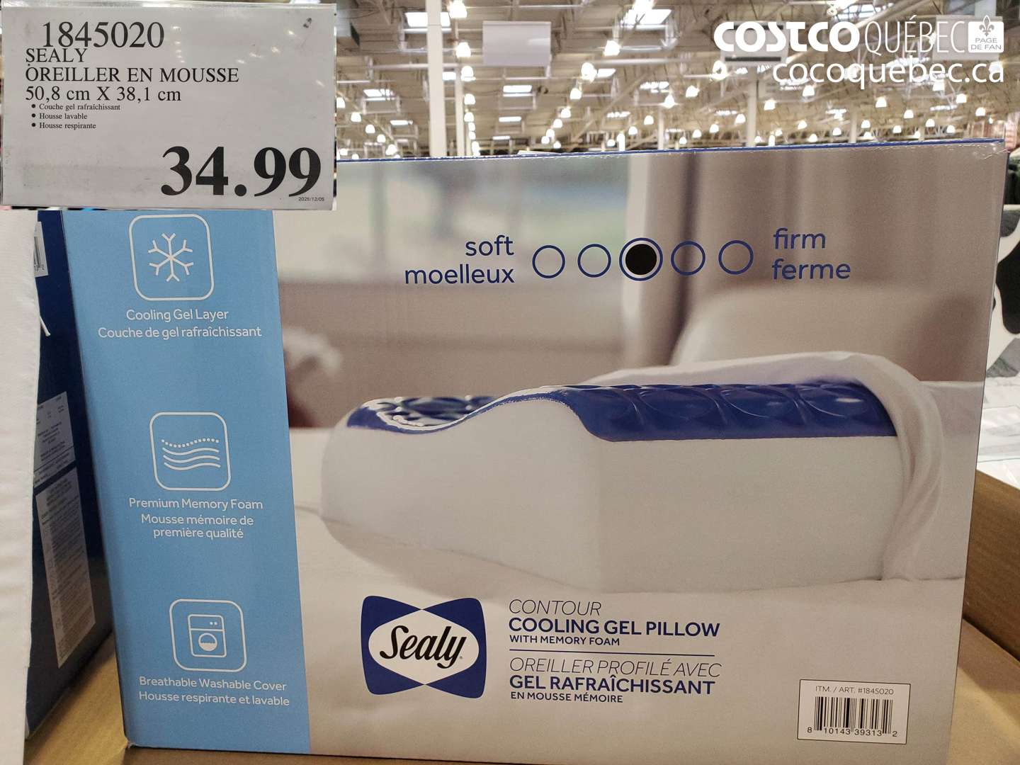 1845020 SEALY OREILLER EN MOUSSE 50,8 cm X 38,1 cm $34.99