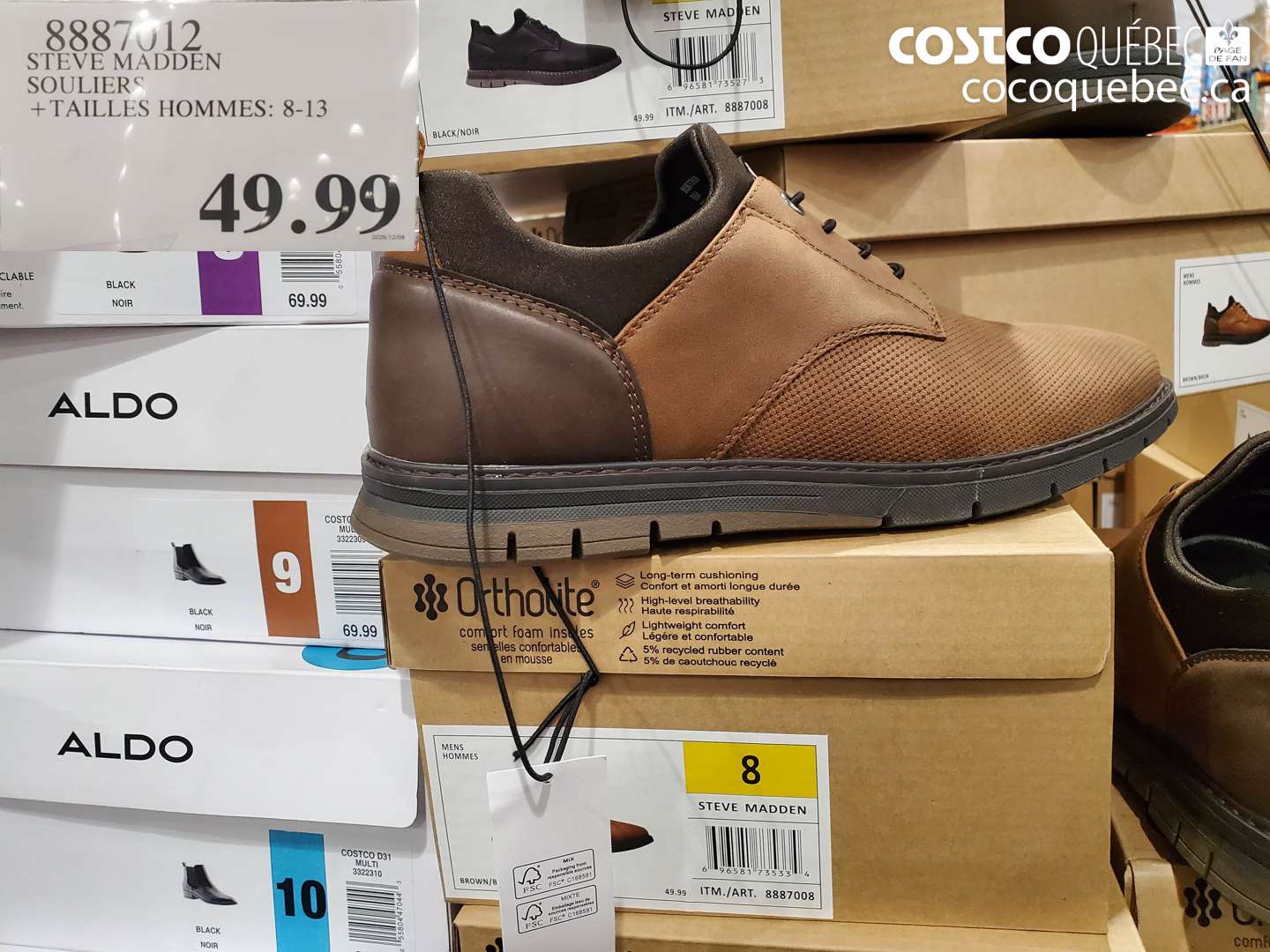 8887012 STEVE MADDEN SOULIERS +TAILLES HOMMES: 8-13 $49.99