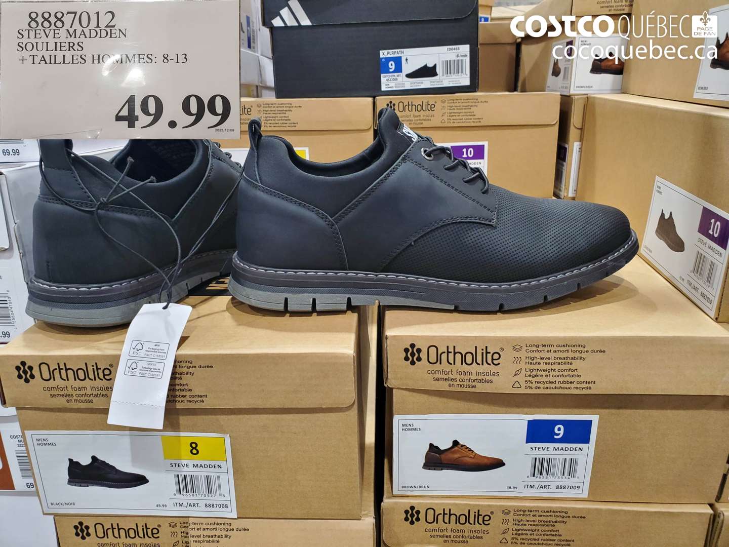 8887012 STEVE MADDEN SOULIERS + TAILLES HOMMES: 8-13 $49.99