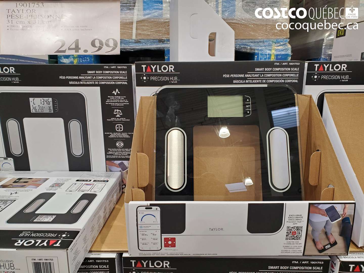 1901753 TAYLOR PÈSE-PERSONNE 31 cm x 31 cm $24.99