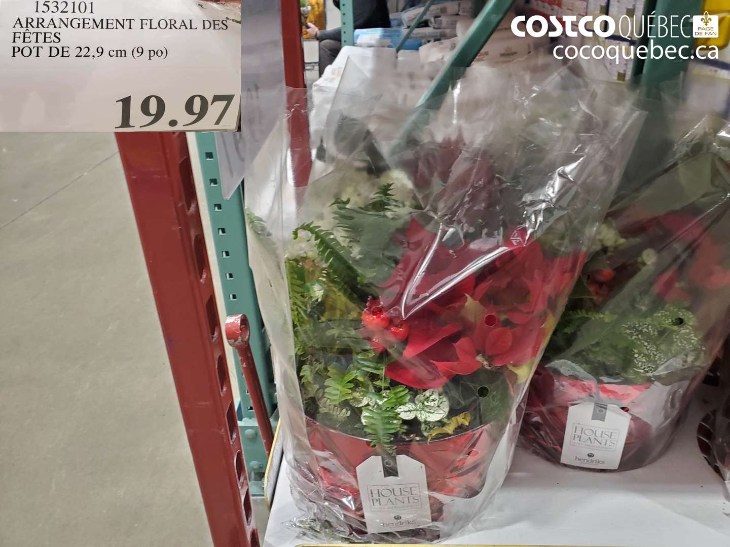 1532101 ARRANGEMENT FLORAL DES FETES BOI DE 22,9. cm OG  $19.97