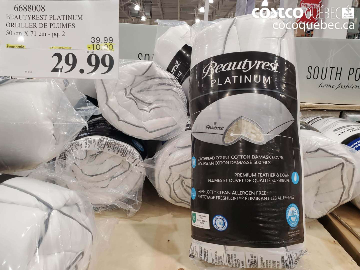 6688008 BEAUTYREST PLATINUM OREILLER DE PLUMES 50 cm X 71 cm - pqt 2 ($10.00 INSTANT SAVINGS EXPIRES ON 2026-01-18) $29.99