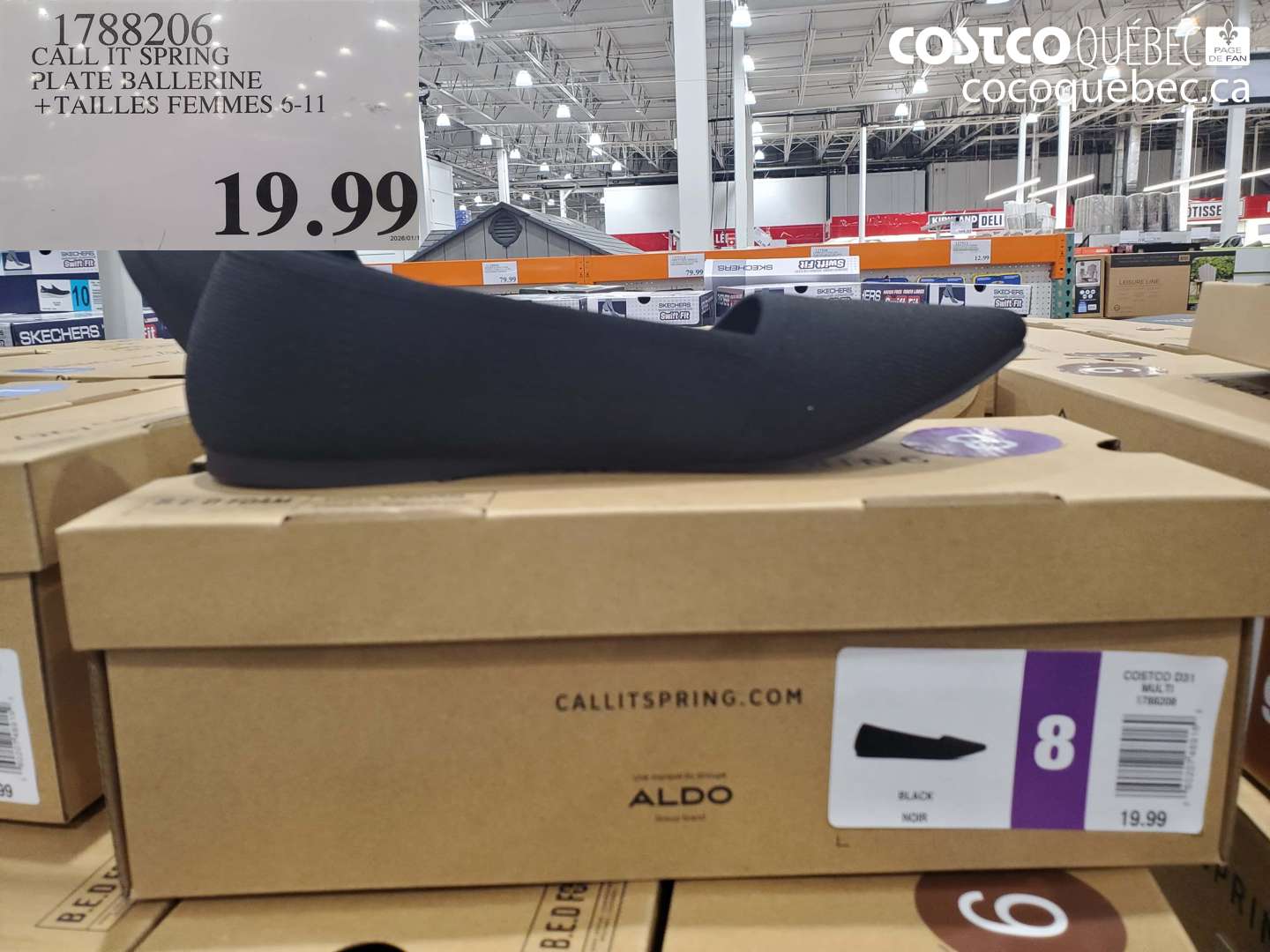 1788206 CALL IT SPRING PLATE BALLERINE + TAILLES FEMMES 6-11 $19.99