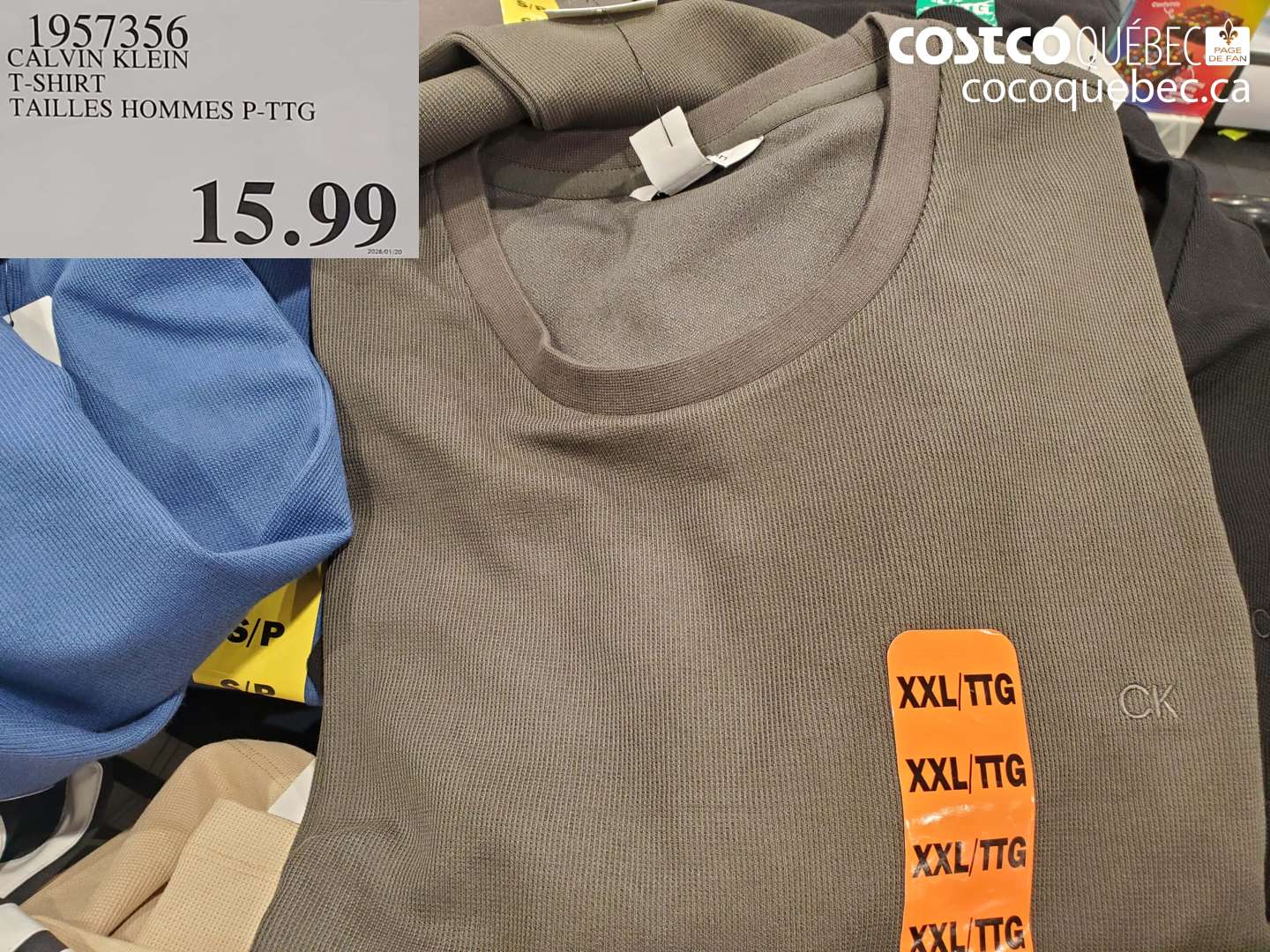 1957356 CALVIN KLEIN T-SHIRT TAILLES HOMMES P-PTG $15.99