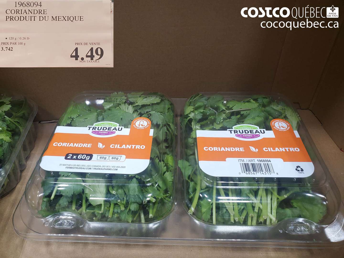 1968094 CORIANDRE PRODUIT DU MEXIQUE $4.49