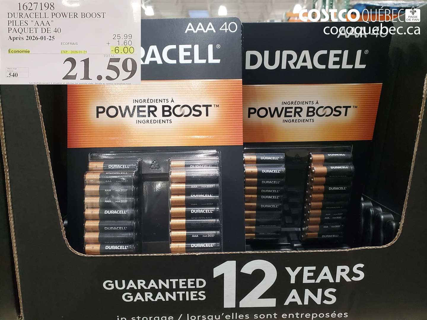 1627198 DURACELL POWER BOOST PILES 