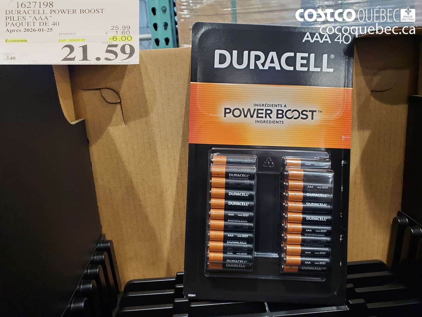 1627198 DURACELL POWER BOOST PILES 