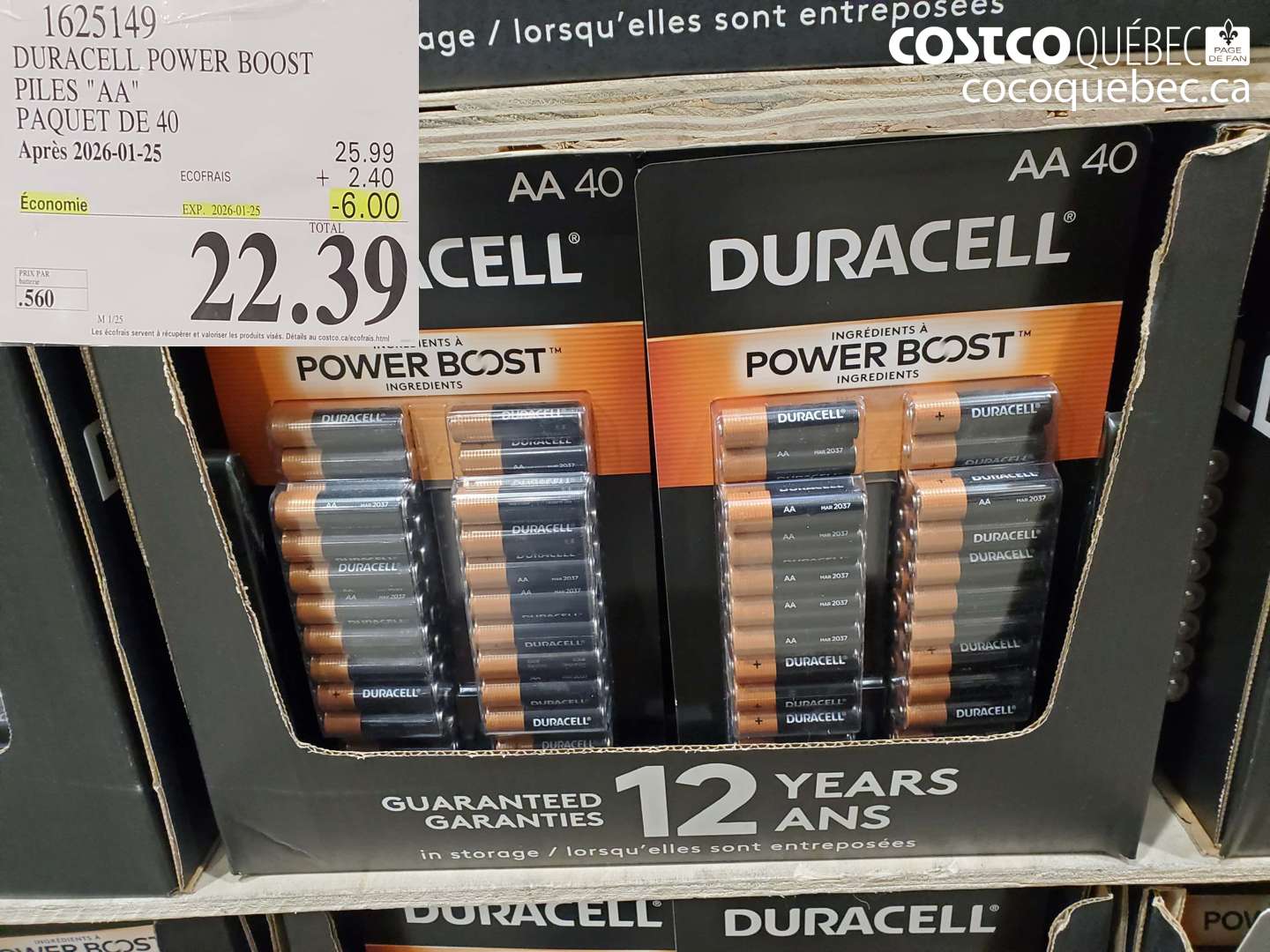 1625149 DURACELL POWER BOOST PILES 