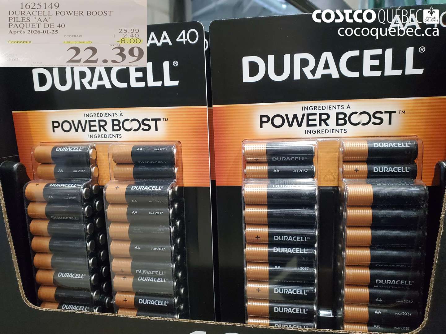 1625149 DURACELL POWER BOOST PILES 
