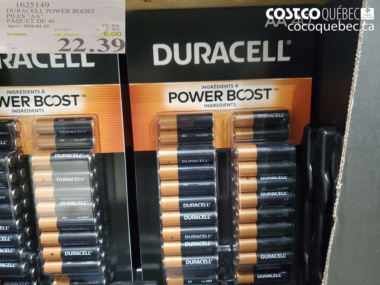 1625149 DURACELL POWER BOOST PILES 