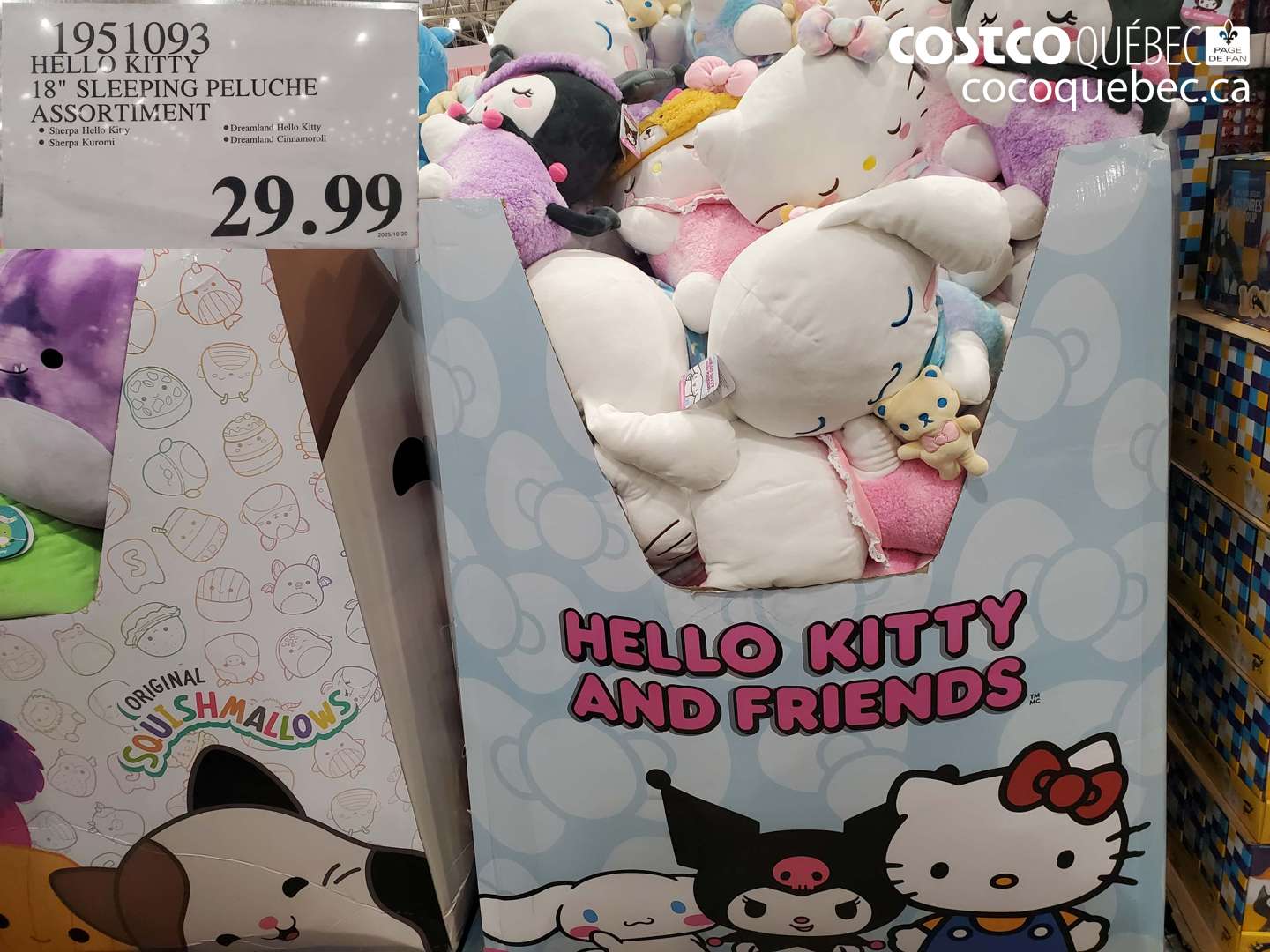 1951093 Hello Kitty 18