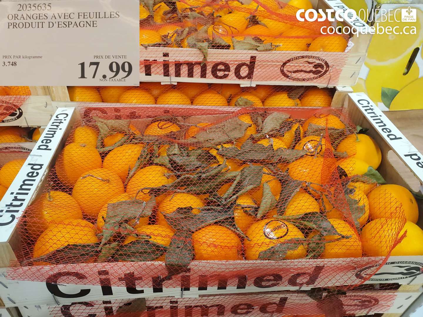 2035635 ORANGES AVEC FEUILLES PRODUIT D'ESPAGNE $17.99
