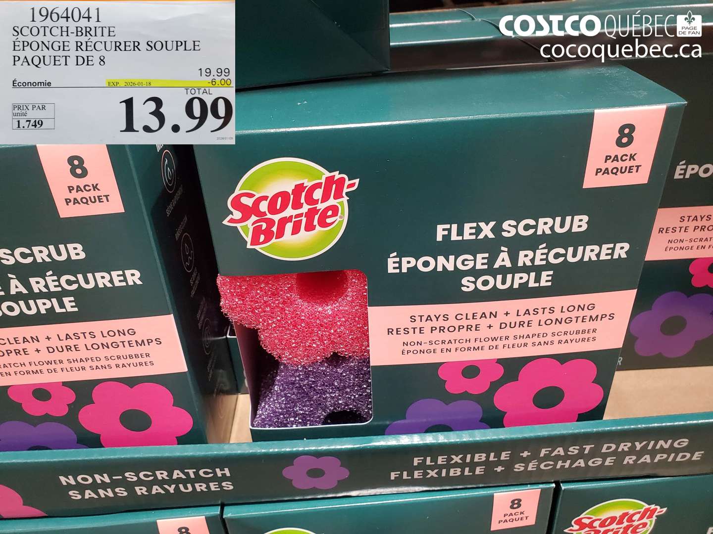 1964041 SCOTCH-BRITE ÉPONGE RÉCURER SOUPLE PAQUET DE 8 ($6.00 INSTANT SAVINGS EXPIRES ON 2026-01-18) $13.99
