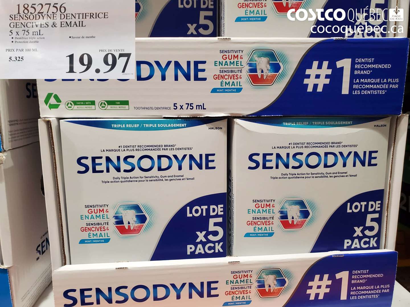 1852756 SENSODYNE DENTIFRICE GENCIVES & EMAIL $19.97