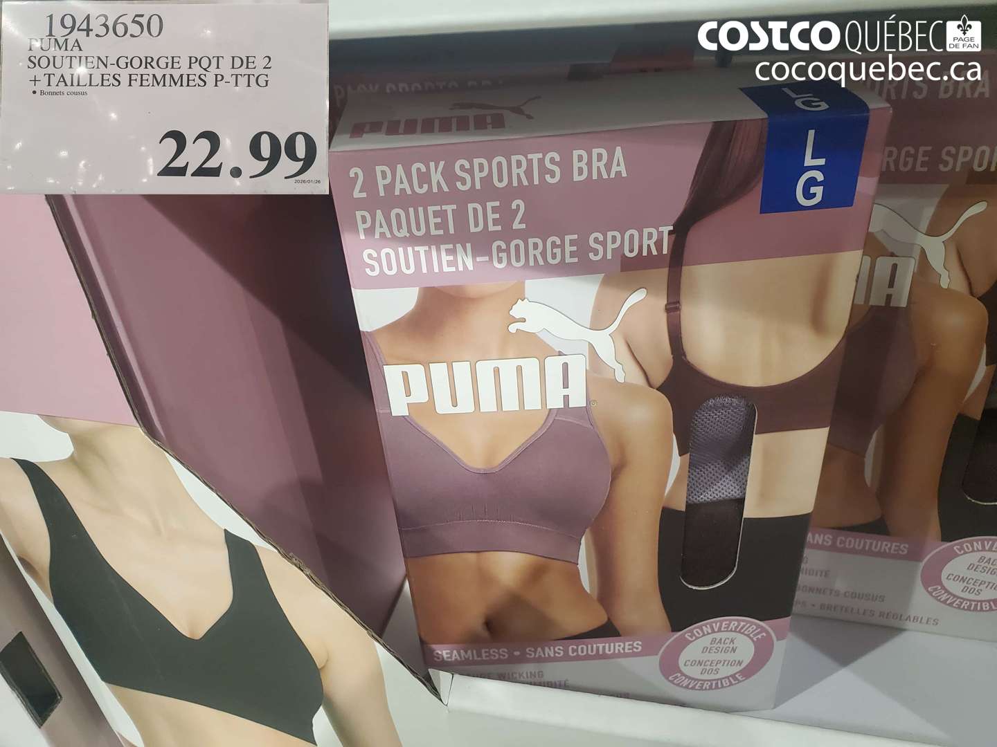 1943650 SOUTIEN-GORGE PQT DE 2 + TAILLES FEMMES P-PTG $22.99