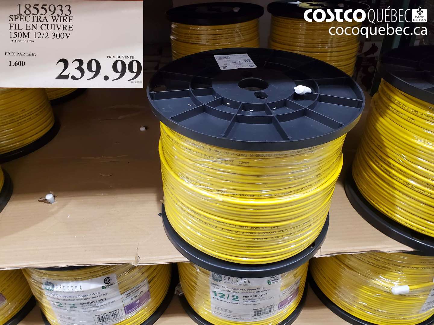 1855933 SPECTRA WIRE FIL EN CUIVRE 150M 12/2 300 V $239.99
