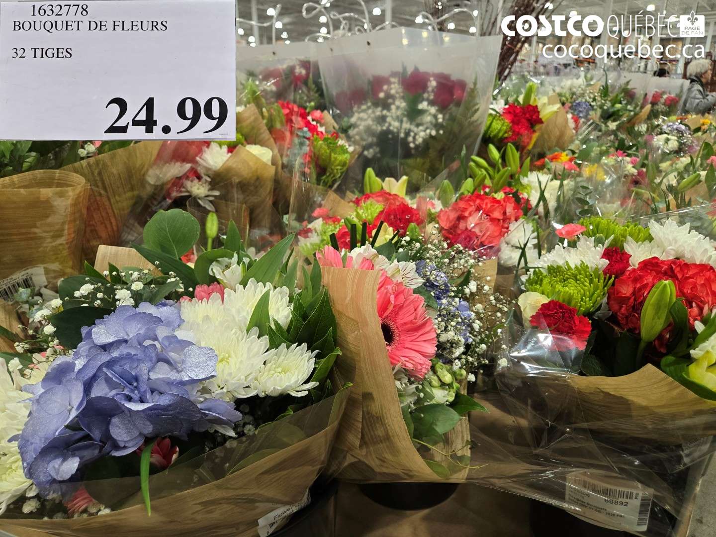 1632778 BOUQUET DE FLEURS, 32 TIGES $24.99