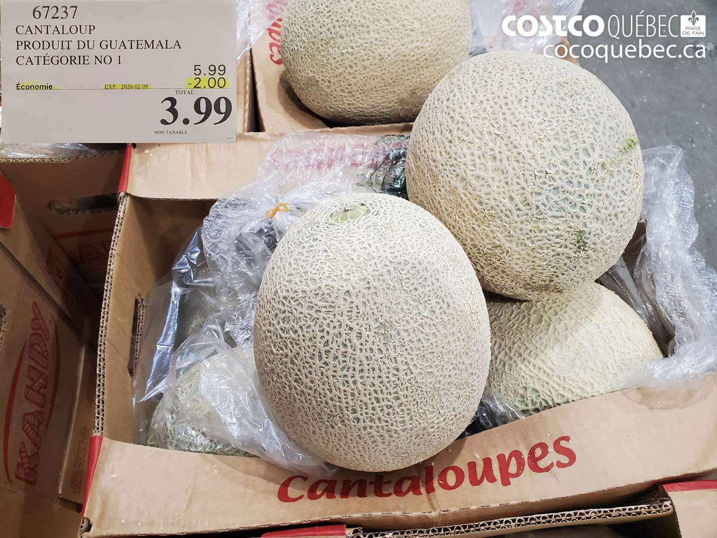 67237 CANTALOUPE PRODUIT DU GUATEMALA CATÉGORIE NO 1 ($2.00 INSTANT SAVINGS EXPIRES ON 2026-02-09) $3.99