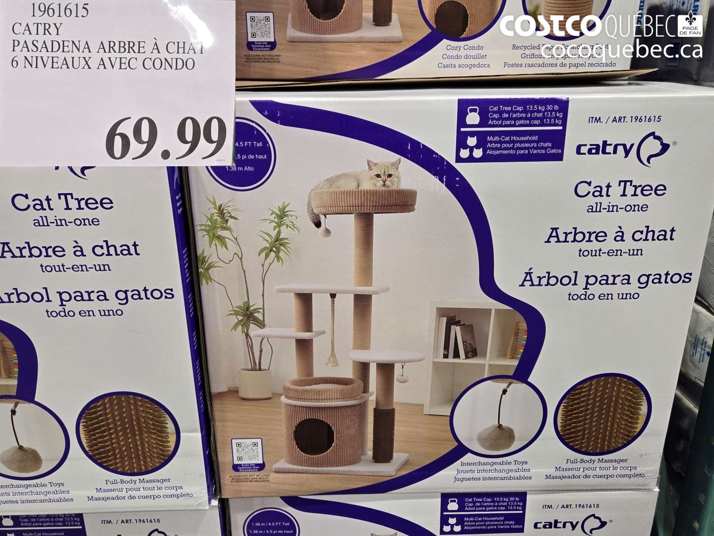 1961615 CATRY PASADENA ARBRE À CHAT 6 NIVEAUX AVEC CONDO $69.99