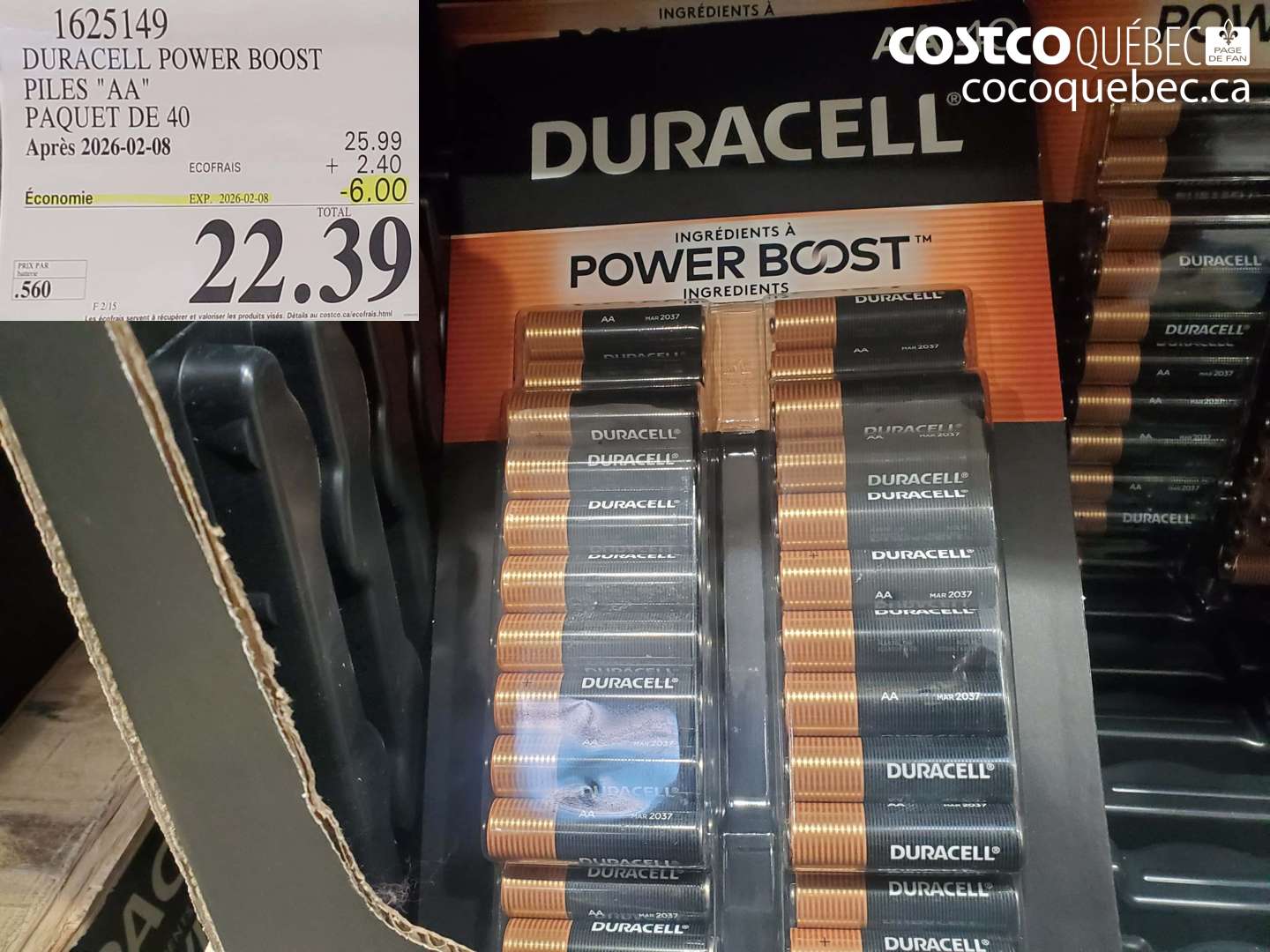 1625149 DURACELL POWER BOOST PILES 