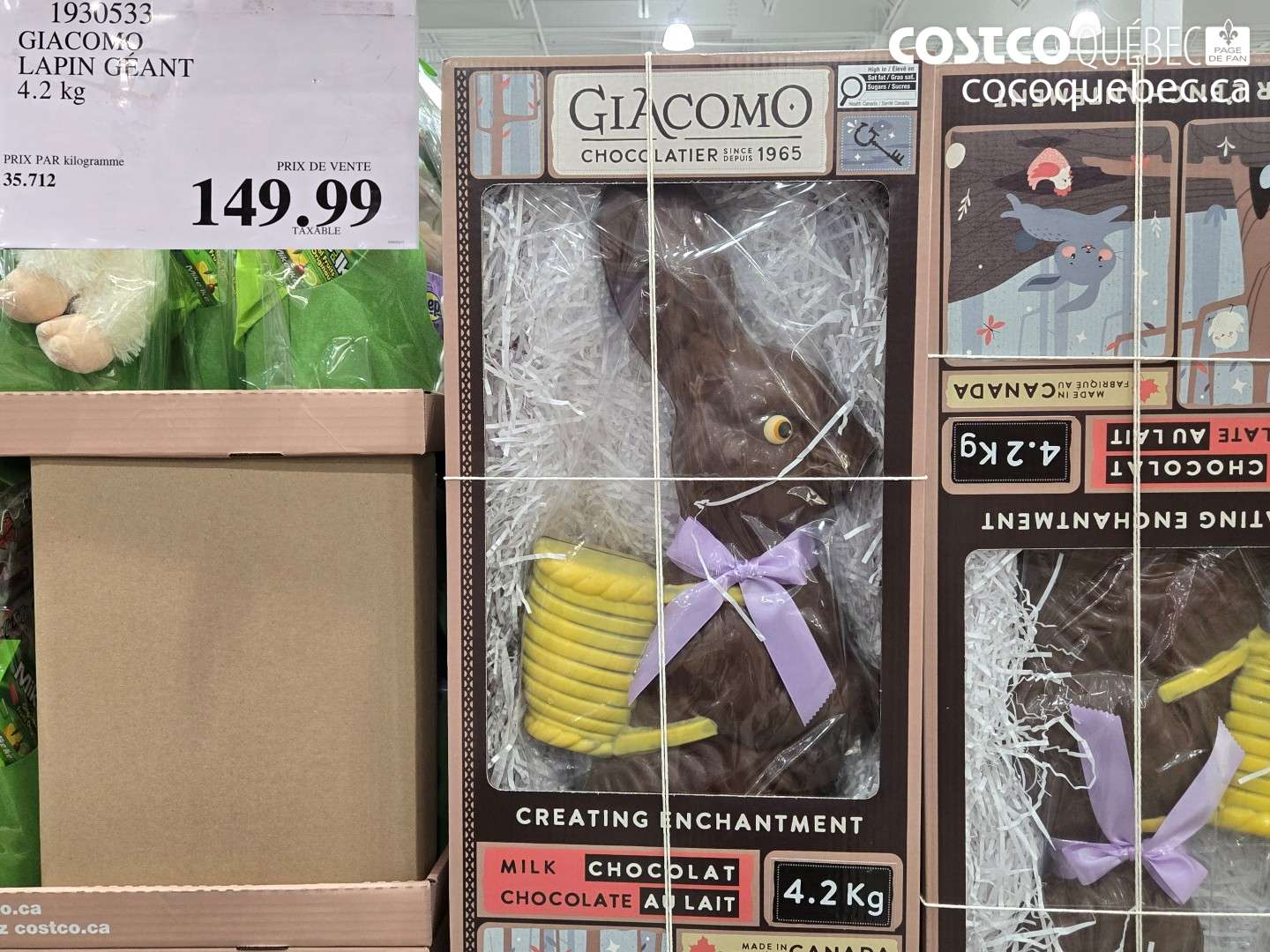 1930533 GIACOMO LAPIN GEANT 4.2 KG $149.99