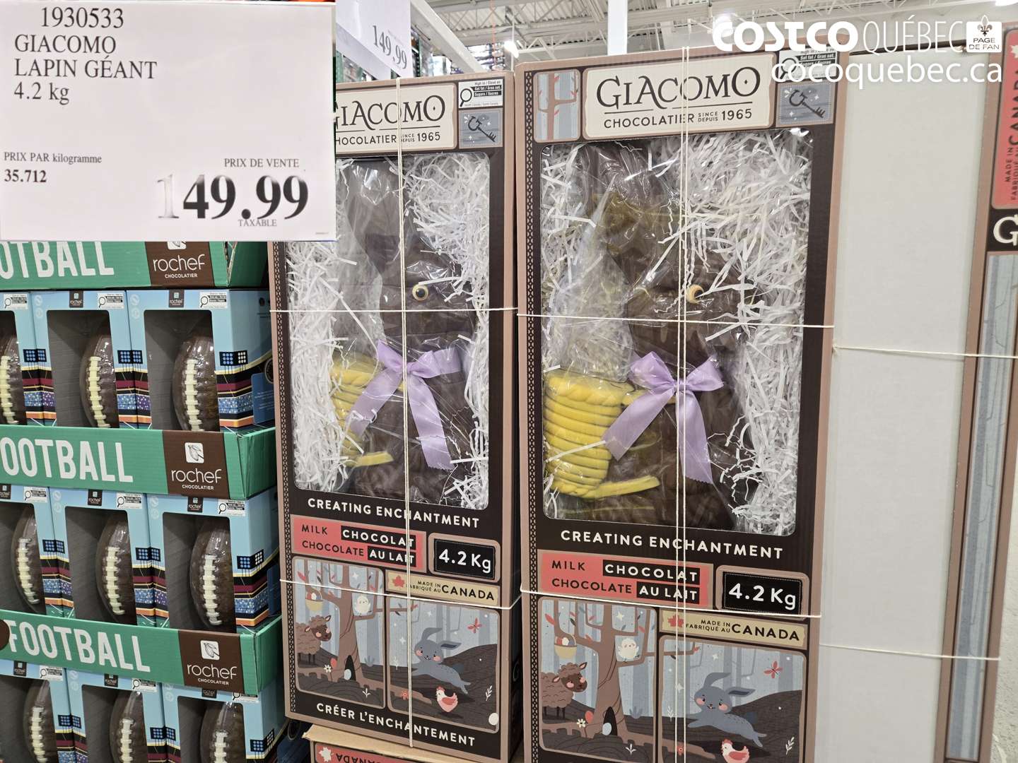 1930533 GIACOMO LAPIN GÉANT 4.2 kg $149.99