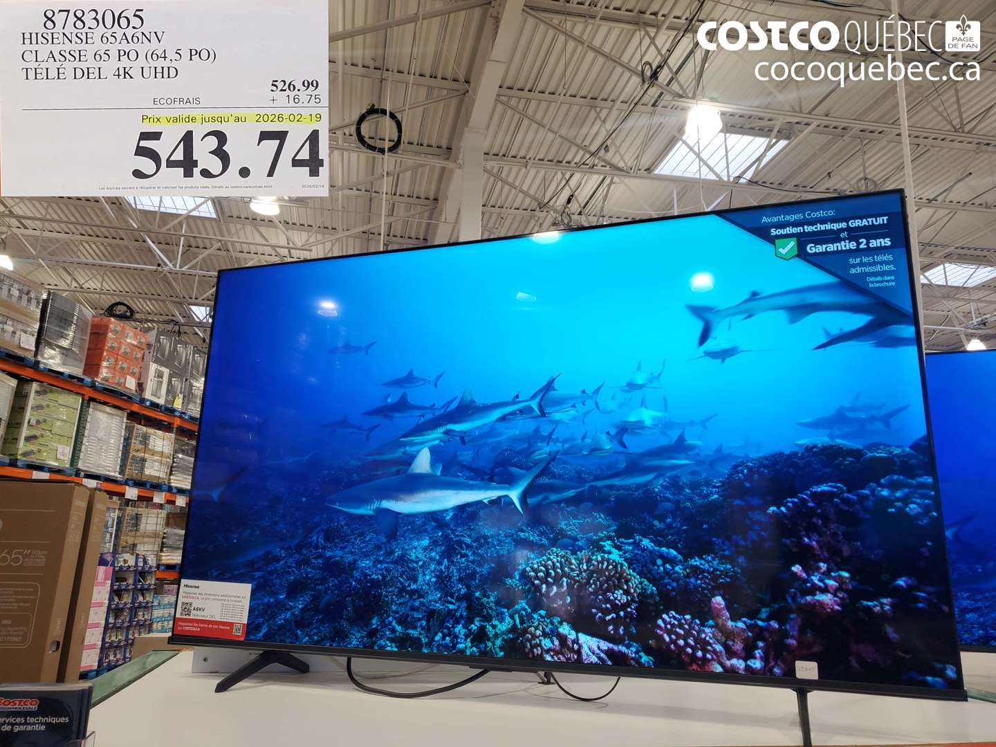 8783065 HISENSE 65A6NV CLASSE 65 PO (64,5 PO) TÉLÉ DEL 4K UHD (EXPIRES ON 2026-02-19) $543.74