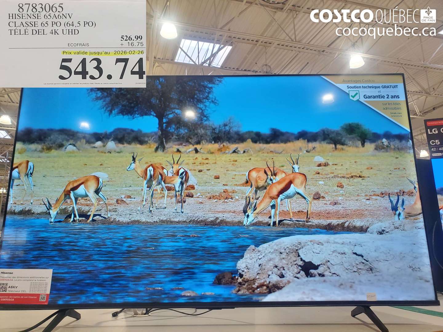 8783065 HISENSE 65A6NV CLASSE 65 PO (64,5 PO) TÉLÉ DEL 4K UHD (EXPIRES ON 2026-02-26) $543.74