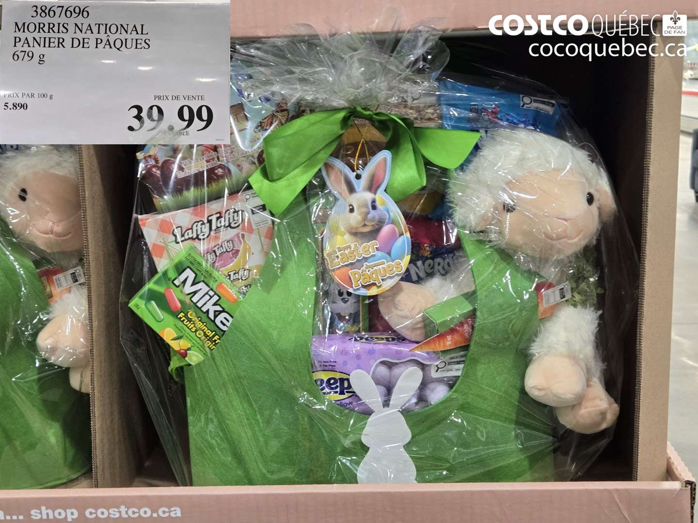 3867696 MORRIS NATIONAL PANIER DE PÂQUES $39.99