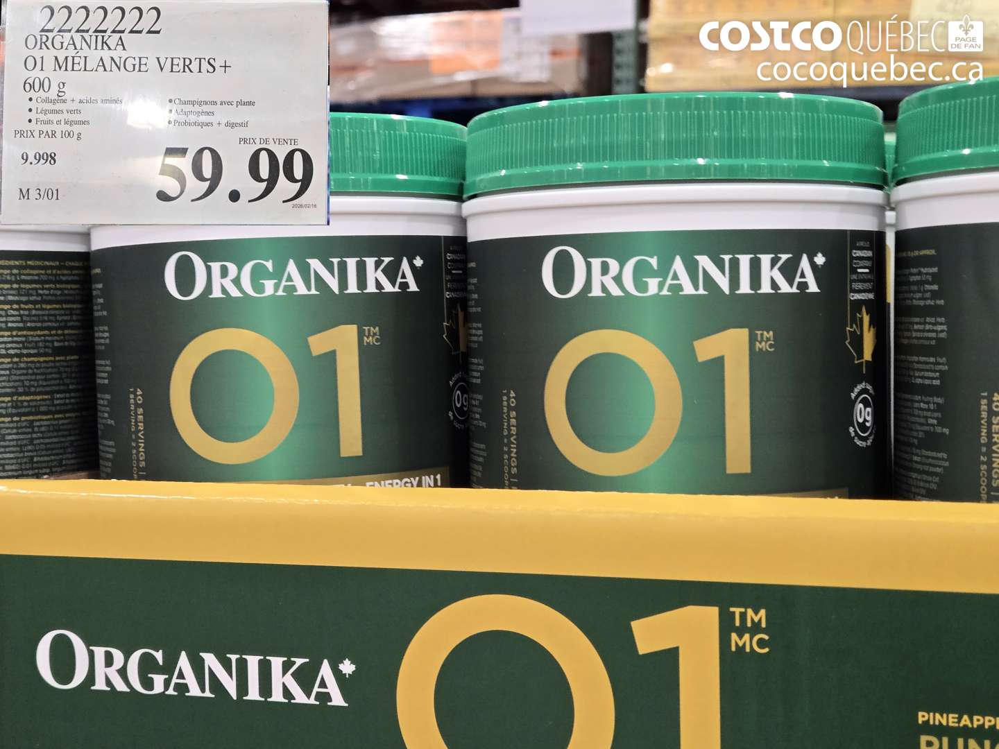 2222222 ORGANIKA 01 MELANGE VERTS+ 600 g $59.99