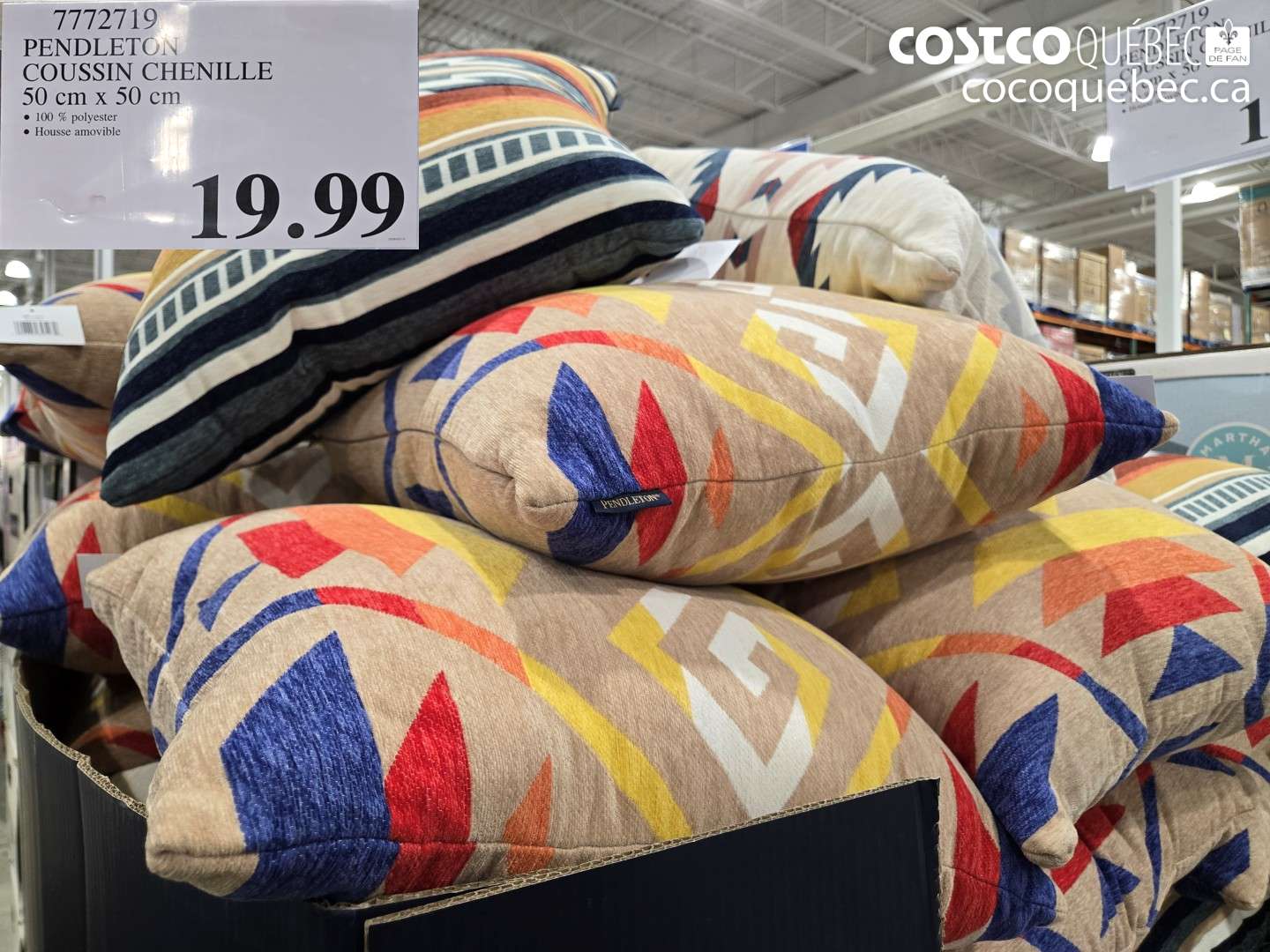 77727119 PENDLETON COUSSIN CHENILLE 50 cm x 50 cm $19.99