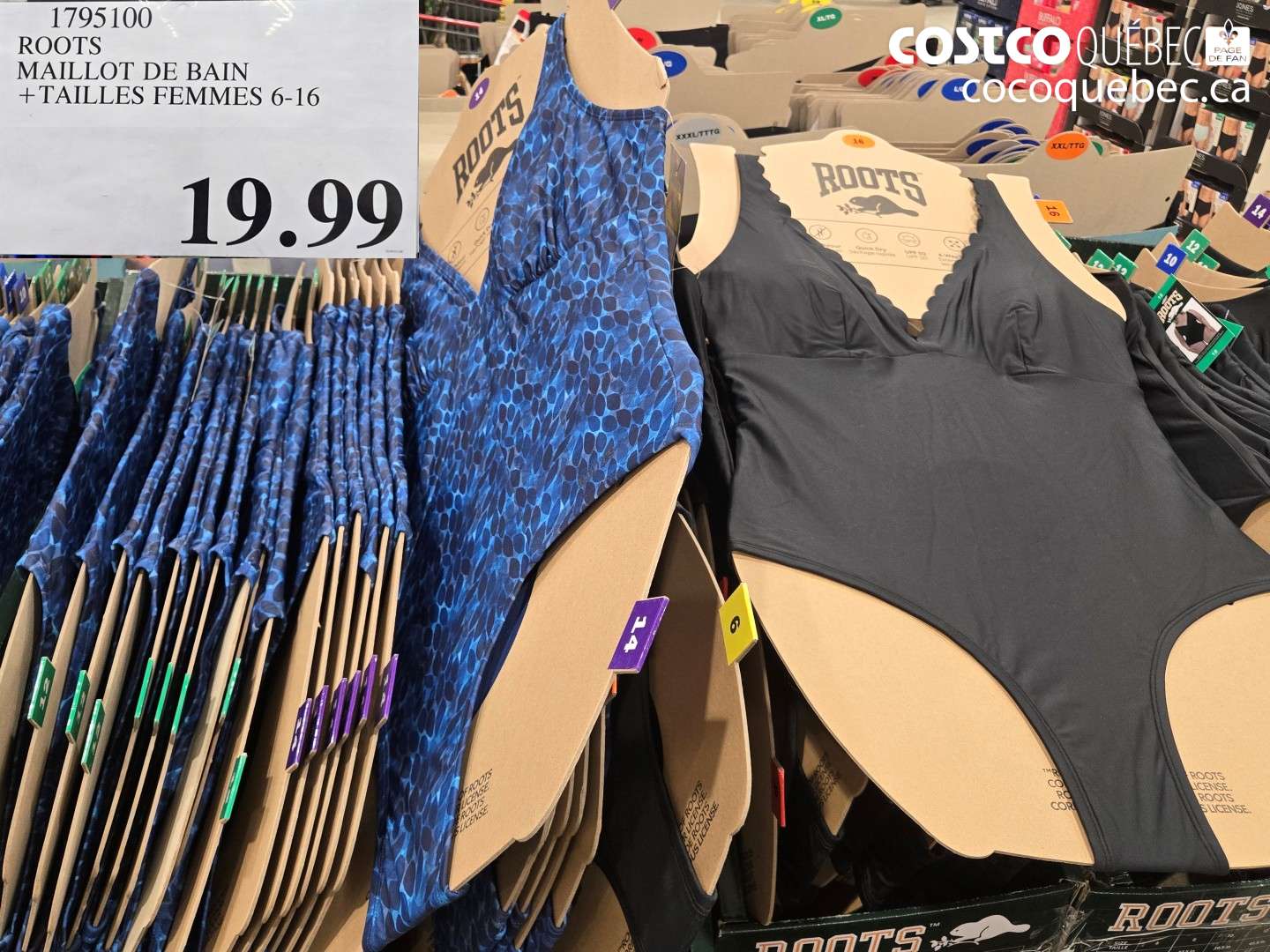 1795100 ROOTS MAILLOT DE BAIN + TAILLES FEMMES 6-16 $19.99