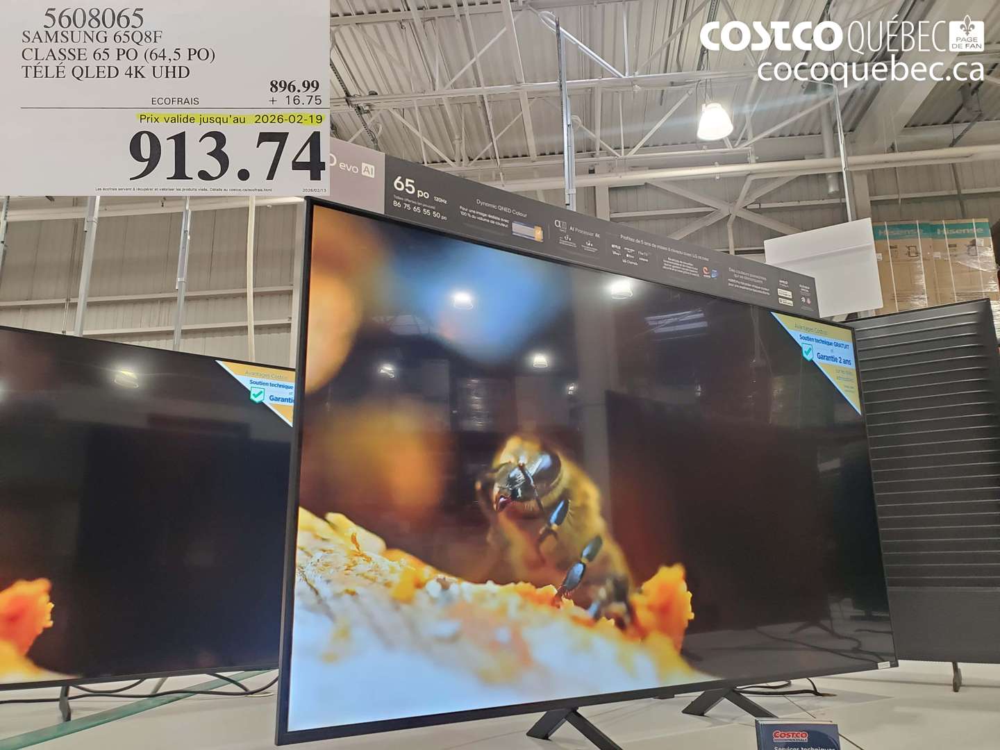 5608065 SAMSUNG 65Q8F CLASSE 65 PO (64,5 PO) TÉLÉ QLED 4K UHD (EXPIRES ON 2026-02-19) $913.74