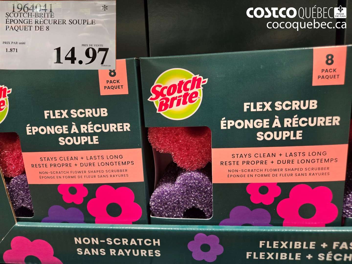 1964041 SCOTCH-BRITE ÉPONGE RÉCURER SOUPLE PAQUET DE 8 $14.97
