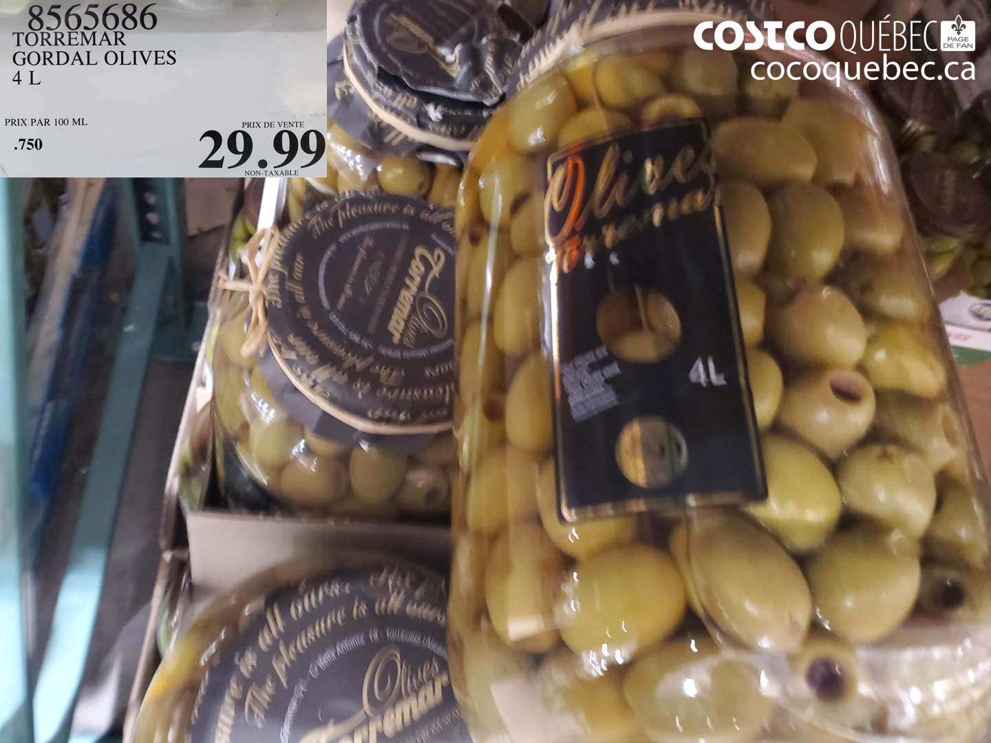 8565686 TORREMAR GORDAL OLIVES 4 L $29.99