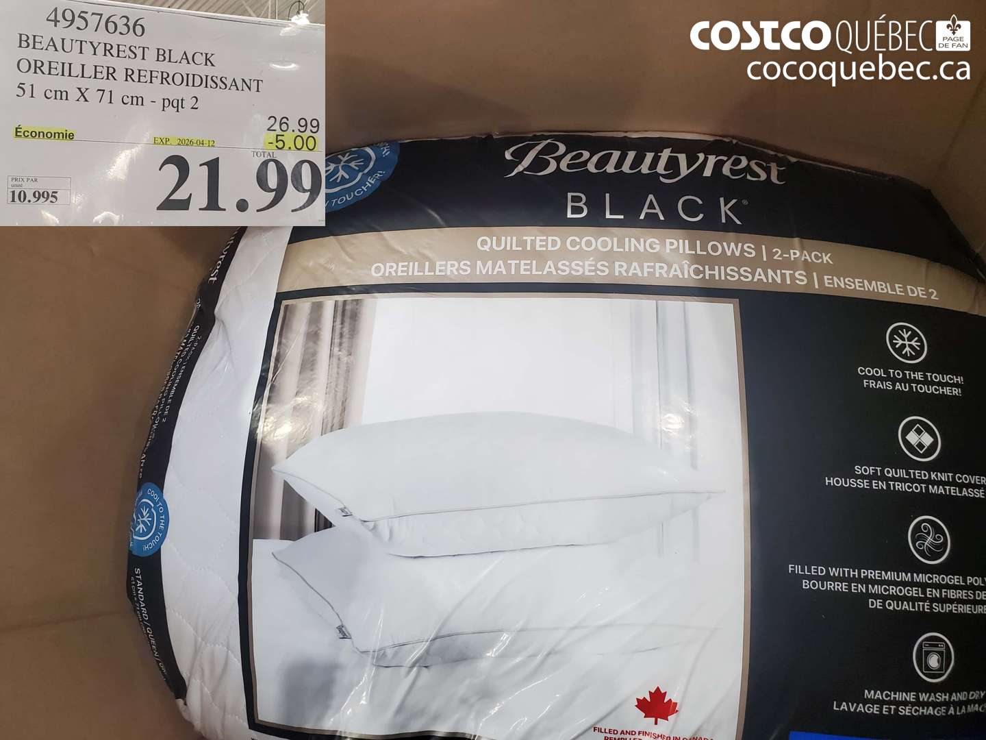 4957636 BEAUTYREST BLACK OREILLER REFROIDISSANT 51 CM X 71 CM PQT 2 ($5.00 INSTANT SAVINGS EXPIRES ON 2026-04-12) $21.99