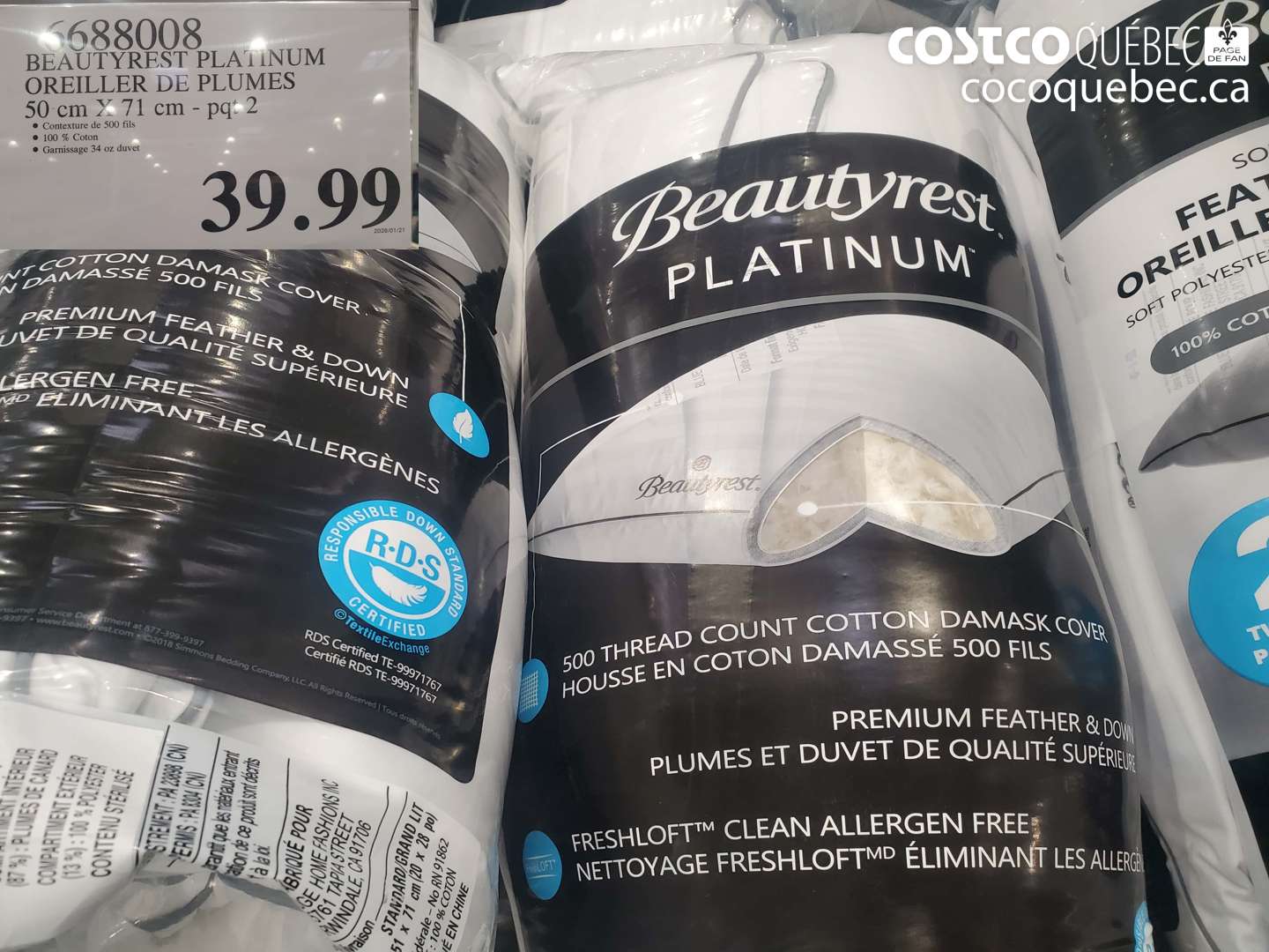 6688008 BEAUTYREST PLATINUM OREILLER DE PLUMES 50 CM X 71 CM - PQT 2 $39.99