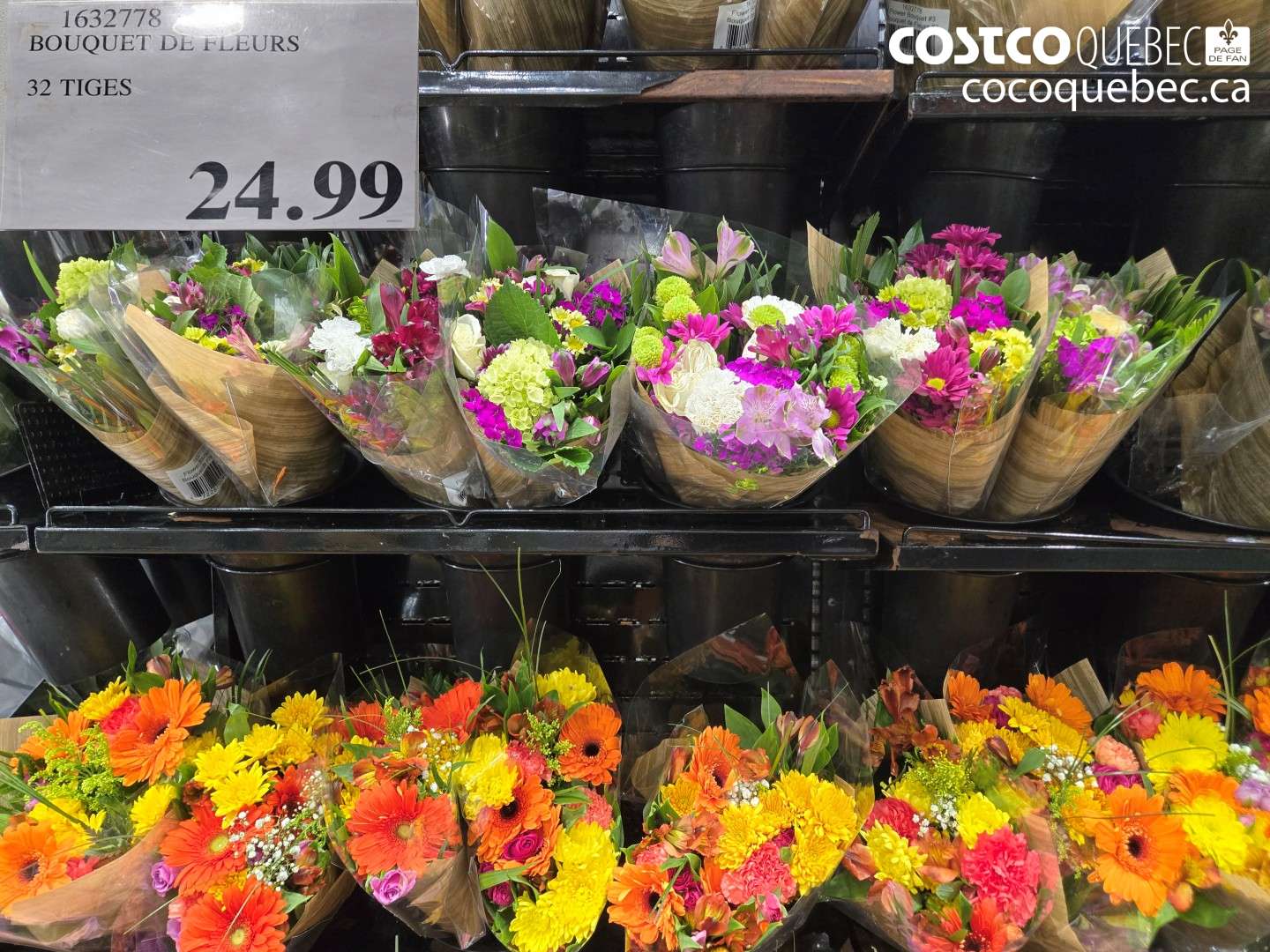 1632778 BOUQUET DE FLEURS 32 TIGES $24.99