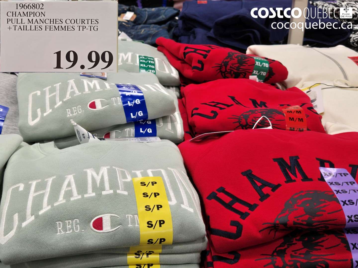 1966802 CHAMPION PULL MANCHES COURTES + TAILLES FEMMES TP-TG $19.99