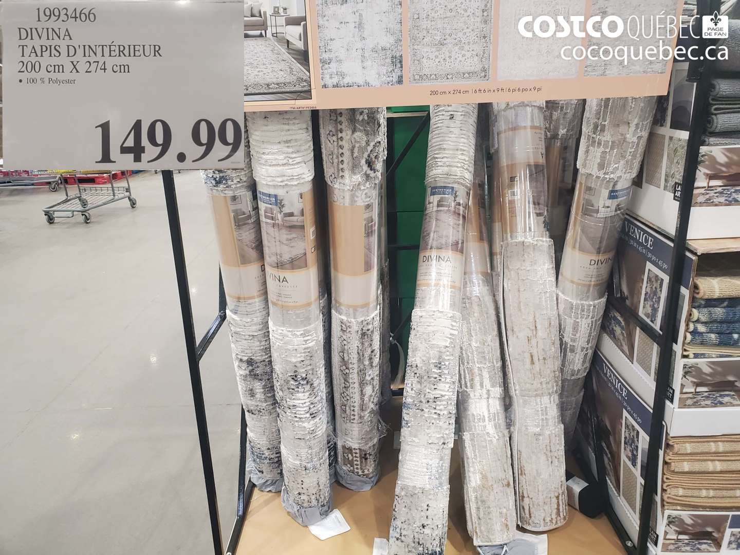 1993466 DIVINA TAPIS D'INTÉRIEUR 200 CM X 274 CM $149.99